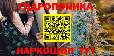 крисы Жуковский