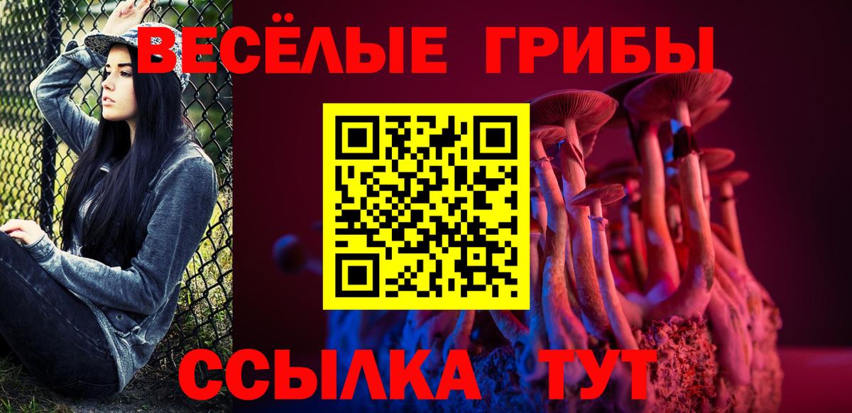 Кызыл  где купить наркотик  Вход с VPN  Псилоцибиновые грибы Psilocybine cubensis 